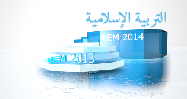 BEM2013 BEM2013